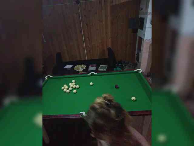 Chipitoli666 webcam