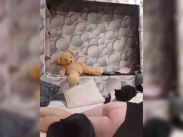 LizSage webcam