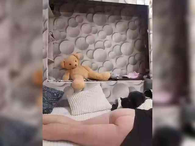 LizSage webcam