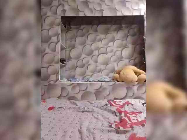 LizSage Live Webcam on BongaCams