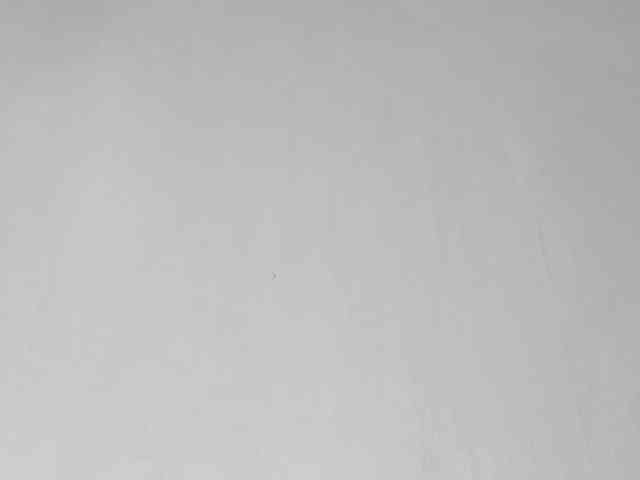 Lalala___ webcam