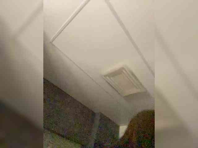 PARTYNEXTNEXT webcam