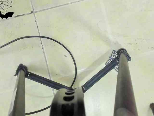 fieryfierysex webcam