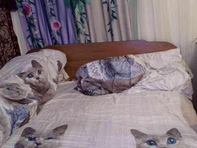 Raspberry_Rum webcam