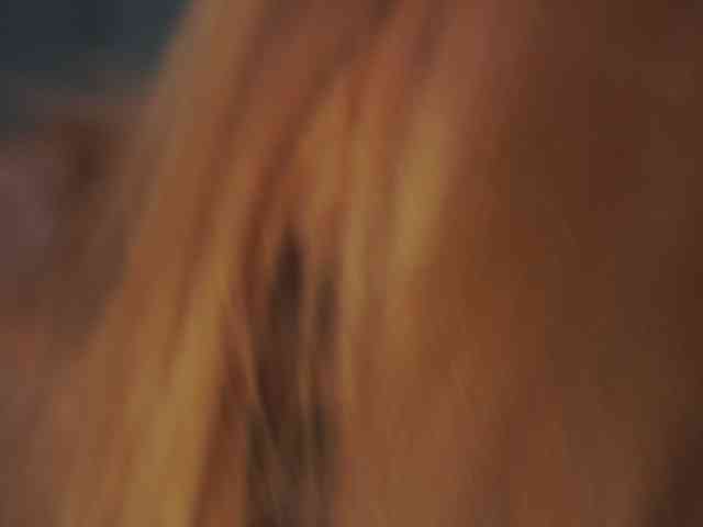 AveryKlein webcam