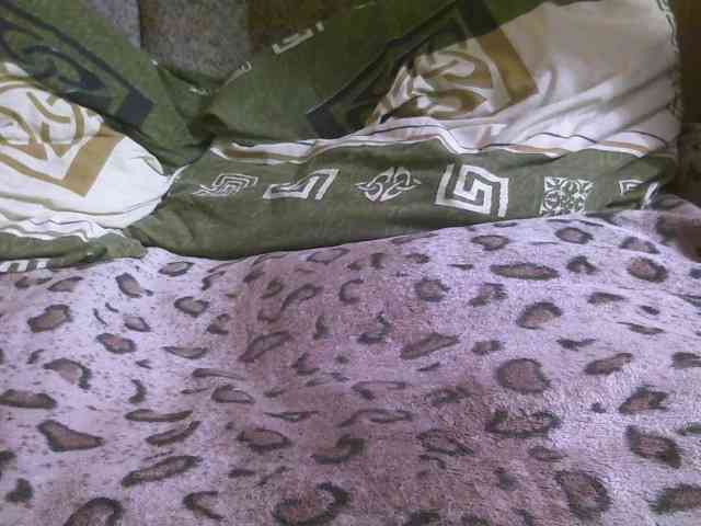 Poxotlivaya39 webcam