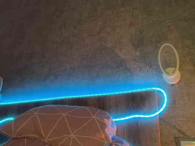 Tvoy_Medvezhenok webcam