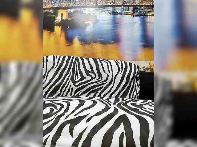 Lona-S webcam