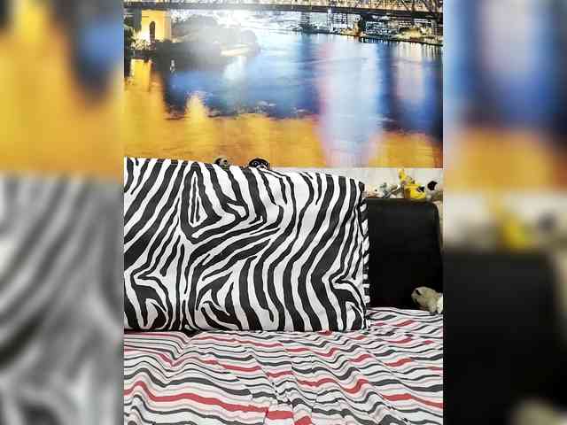 Lona-S webcam