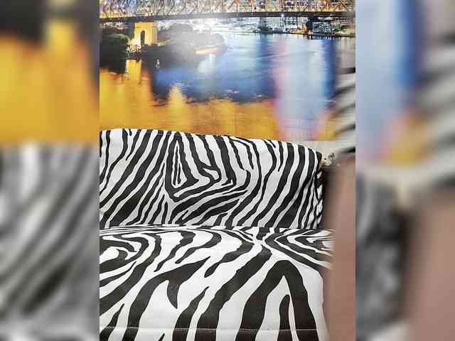 Lona-S webcam