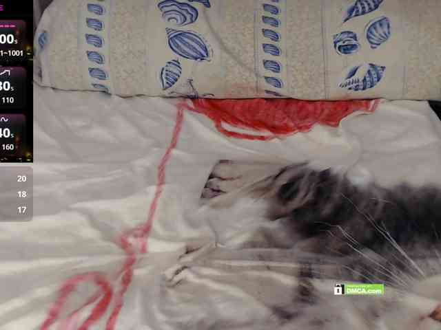 Angelina-1-7 webcam