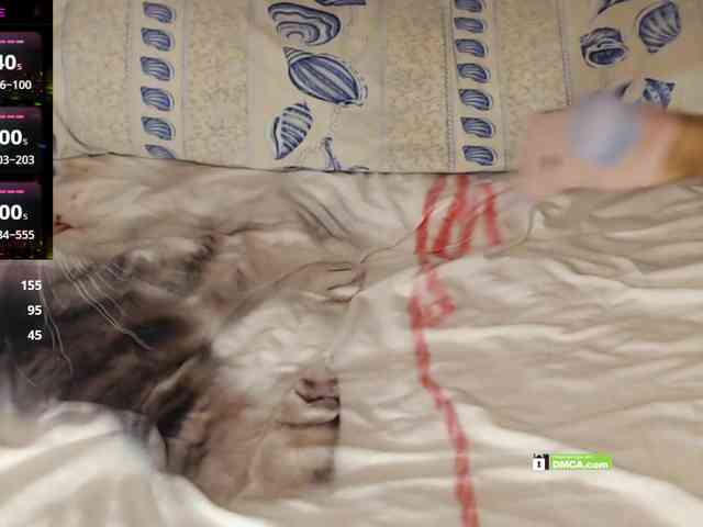 Angelina-1-7 webcam