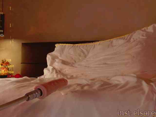 ElsaRedwood webcam