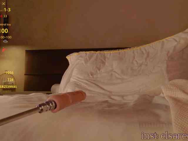 ElsaRedwood webcam
