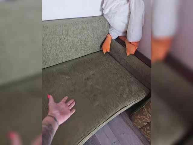 AmaReda webcam