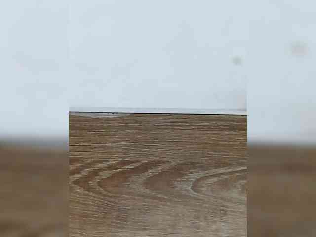 EllaThorne Live Webcam on BongaCams