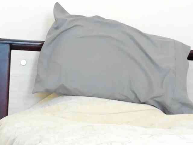 steven-med27 steven-med27