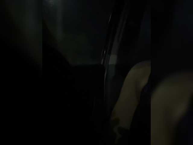 Preview of zoecamils