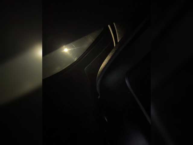 Preview of zoecamils