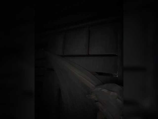 Preview of zoecamils