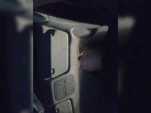 ZoeCamils webcam
