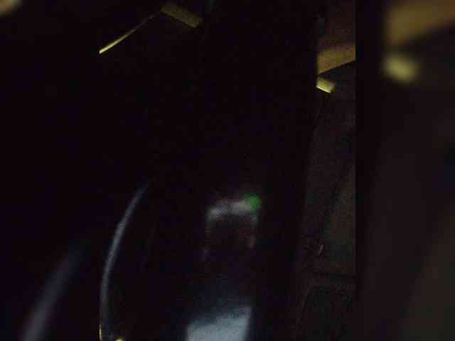ZoeCamils webcam