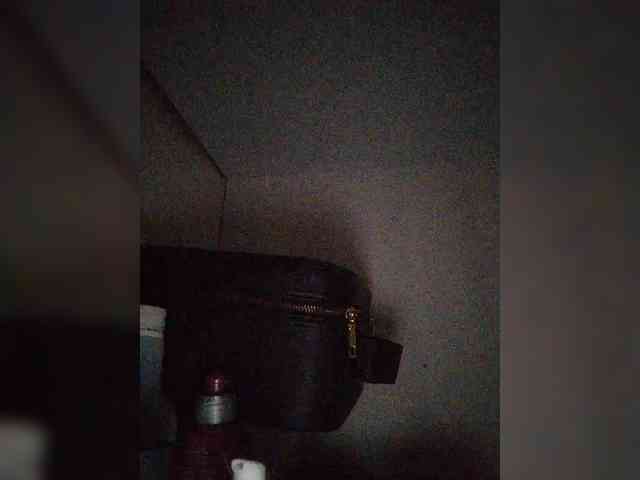 ZoeCamils webcam
