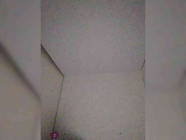 ZoeCamils webcam