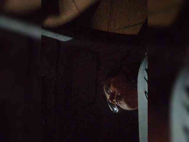 ZoeCamils webcam