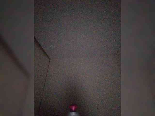 ZoeCamils webcam