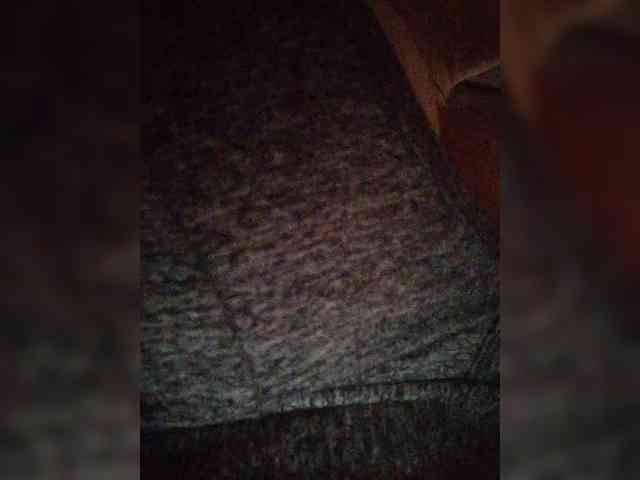 ZoeCamils webcam