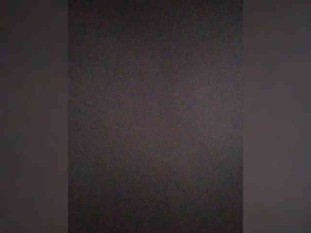 ZoeCamils webcam