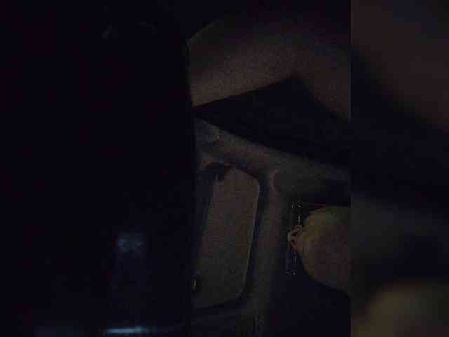ZoeCamils webcam
