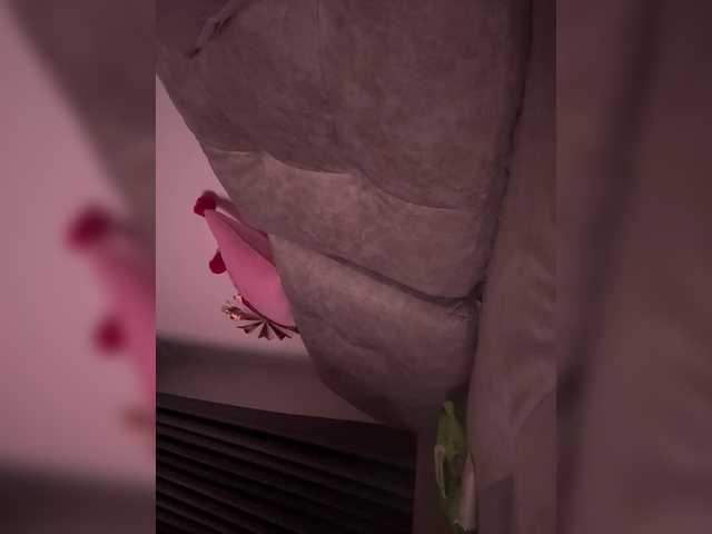 lucygirl-'s BongaCams show and profile