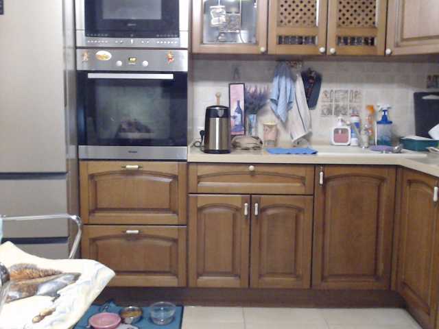 MonaMonako webcam