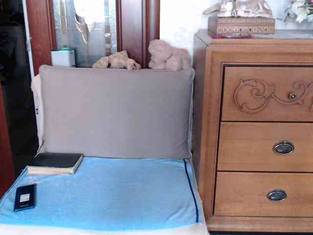 MonaMonako webcam