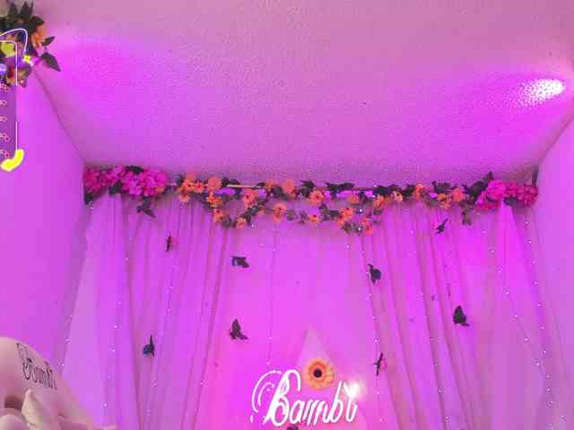 sweetbambi-23 webcam