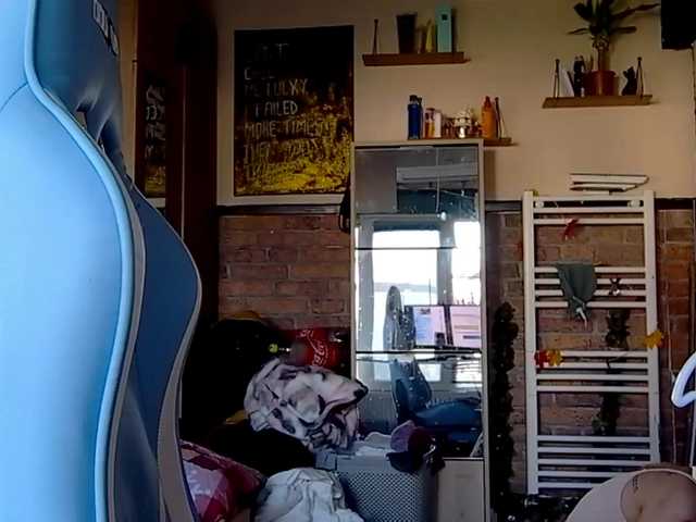 karo131324's BongaCams show and profile