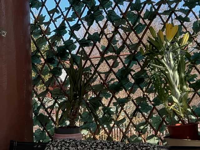 karo131324's BongaCams show and profile