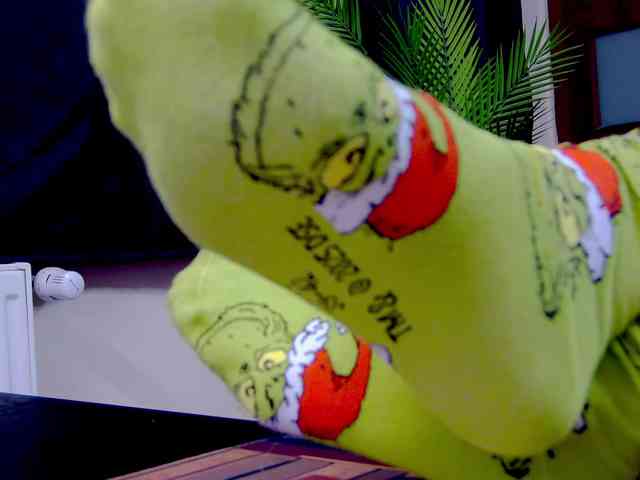 karo131324 karo131324