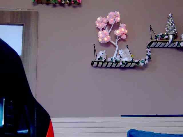 karo131324 karo131324