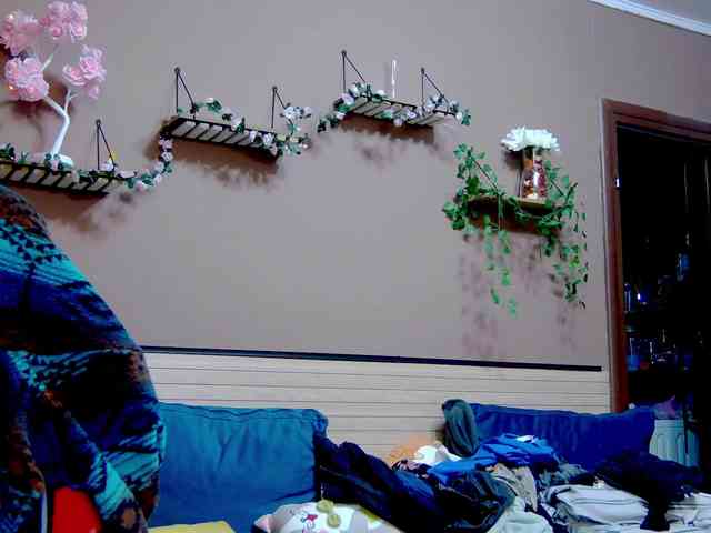 karo131324 karo131324