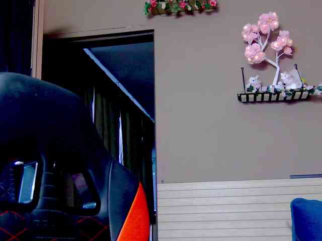 karo131324 karo131324