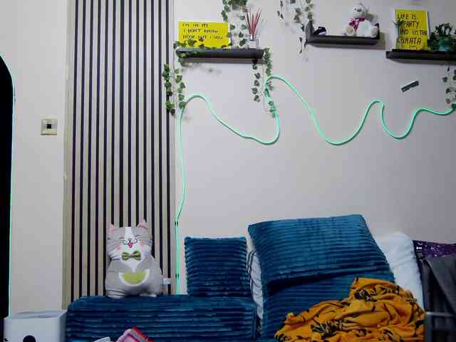 karo131324 karo131324