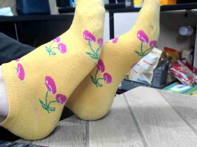 karo131324 karo131324