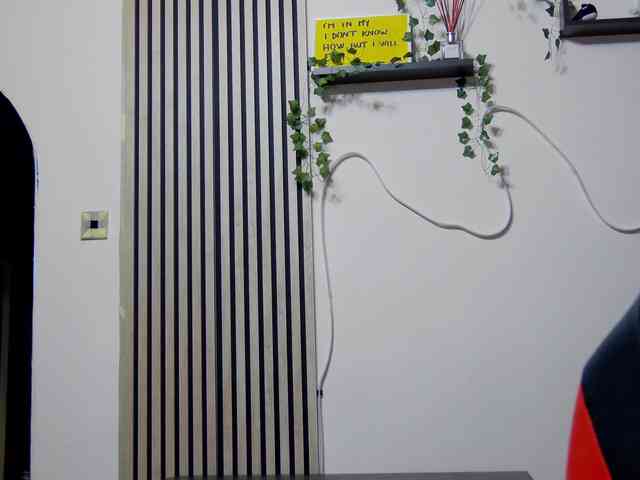 karo131324 Live Webcam on BongaCams