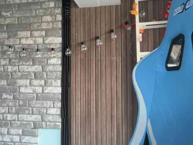 karo131324 karo131324