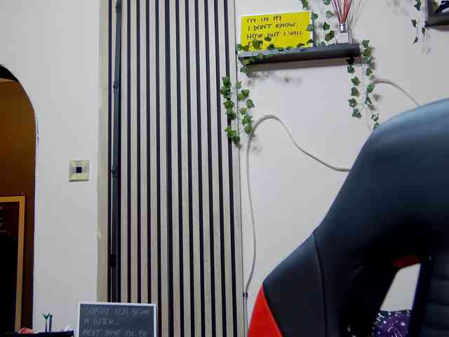 karo131324 webcam