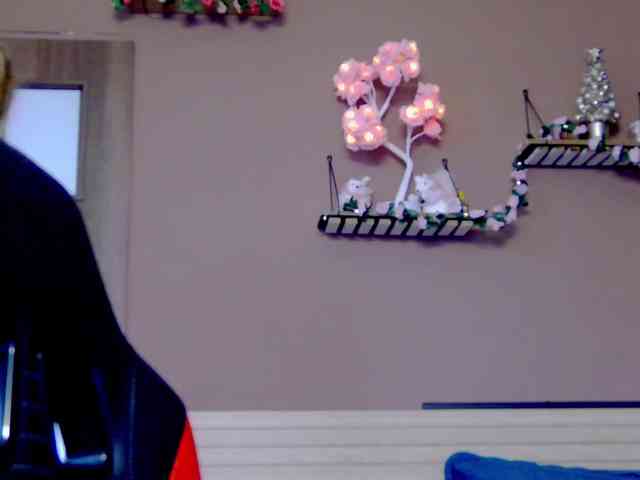 karo131324 karo131324