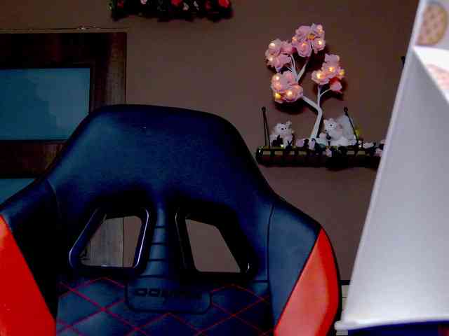 karo131324 karo131324